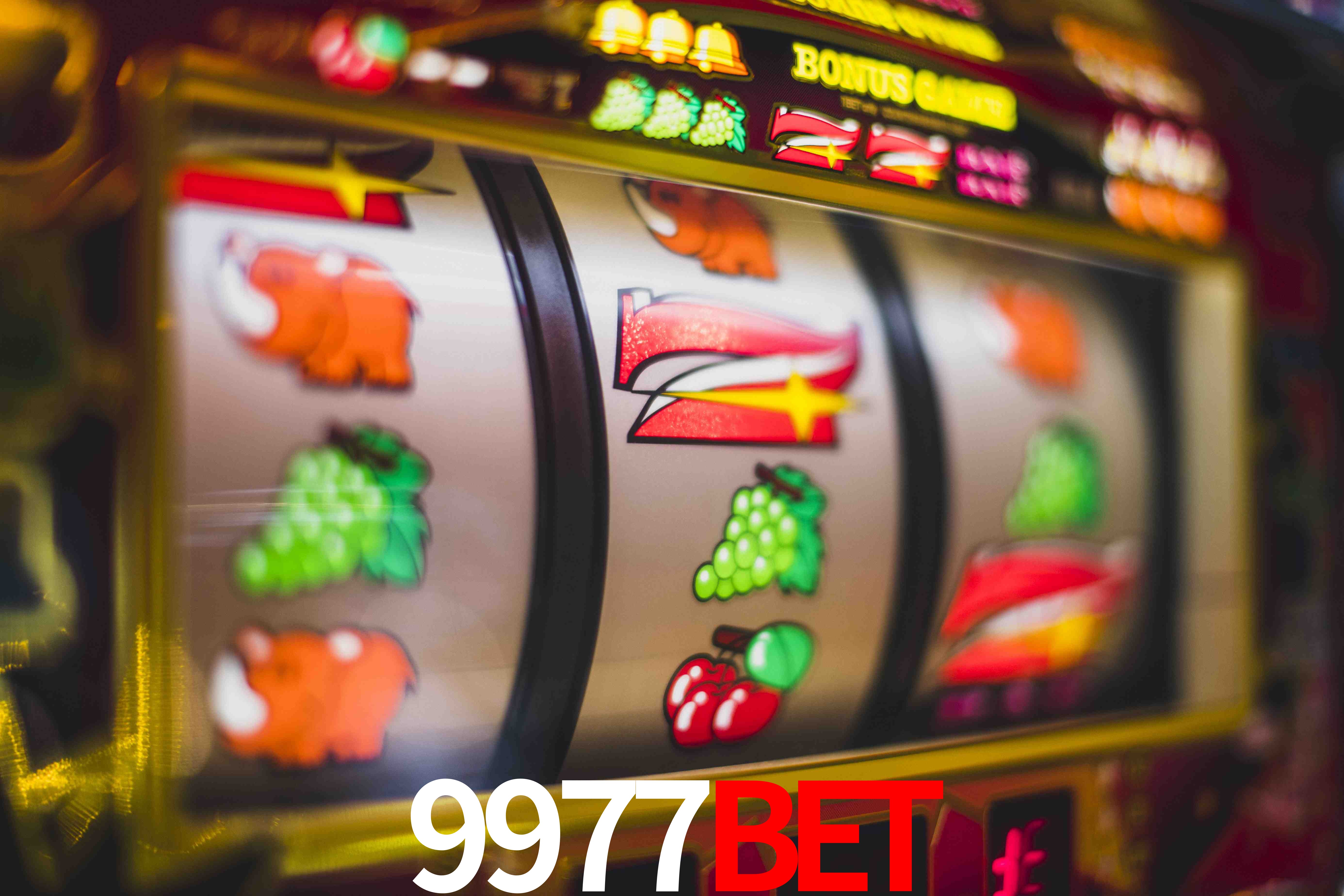 Statistics 9977bet