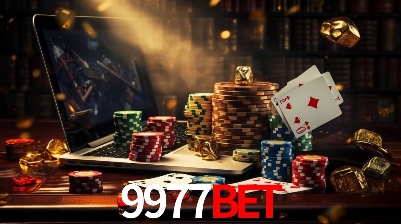 Experiência VIP 9977bet