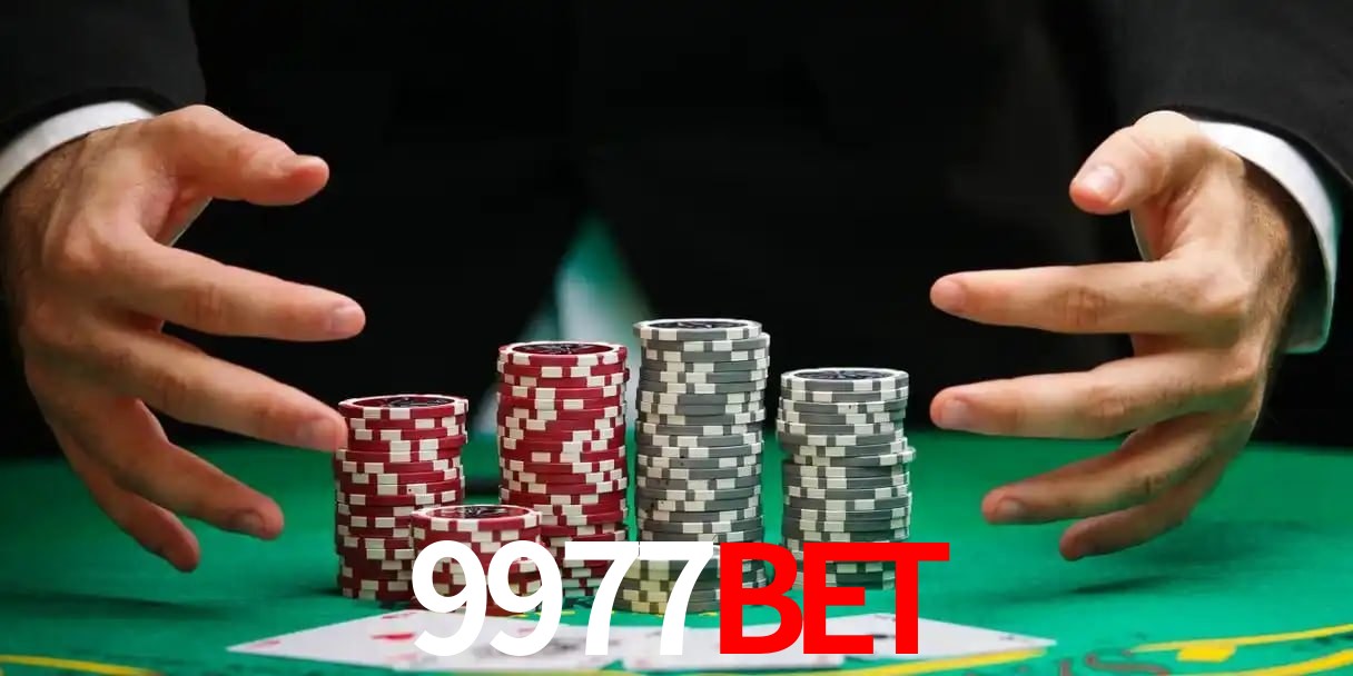 9977bet Belo Horizonte - Basketball
