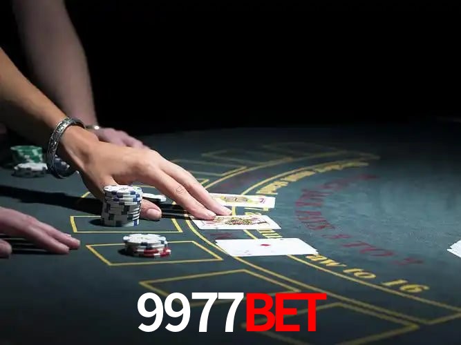 9977bet Salvador - Support